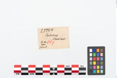 Etikett zu Bronzebogenfibel (NHMW-PRAE-025704)
